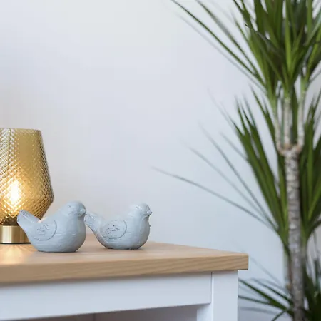 Boavista Roundabout By Sweet *