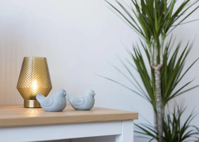 Boavista Roundabout By Sweet *